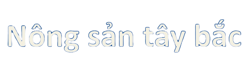 Cuahangnongsantaybac.vn